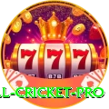 all cricket Casino Official v3.8.5