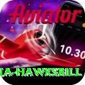 antigua hawksbill Plus Edition v4.6.3