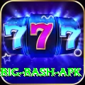 bbl big bash apk Games (Casino & Earning) Premium v5.0.0