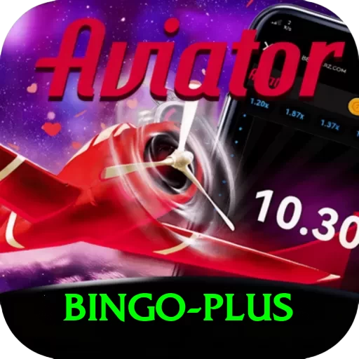 bingo Deluxe v3.0.9 - 2
