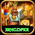 bingopkr Pro1 v4.0.4