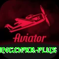 bingopkr Elite v4.9.1