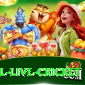 bpl live cricket Deluxe Pro v4.2.2
