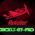 cricket 07 - Pro v2.8.6