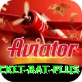 cricket bat Live Max v5.9.1