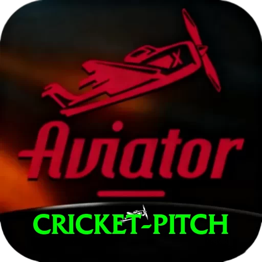 cricket pitch VIP Edition v3.9.3 - 2