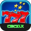 crickex Max Pro vv5.5.6