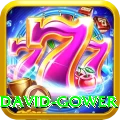 david gower VIP Edition v2.4.9