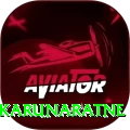 dimuth karunaratne Deluxe Edition v2.8.6