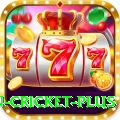fastest ball in cricket - King Edition v5.2.9