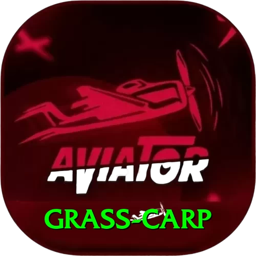 grass carp VIP v1.8.6 - 2