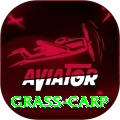 grass carp VIP v1.8.6