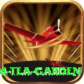 hile ilam tea garden Premium Plus v1.1.8