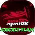 hong kong cricket team Turbo v1.8.3