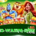 imad wasim spin Master Pro v5.2.2