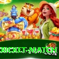 india cricket match Elite Pro v1.8.9