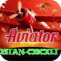 india pakistan cricket Gold Pro v4.2.0
