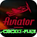 international cricket Official v3.9.9