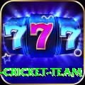 ireland cricket team Max Pro v2.3.1