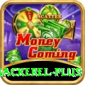 king mackerel Money Prime v2.0.0