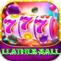 leather ball Pro1 v2.1.6