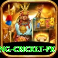 make money betting cricket pk VIP Edition v1.5.7