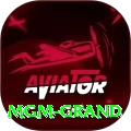 mgm grand Elite Pro v2.5.5