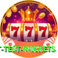 most test wickets Deluxe Edition v1.0.1