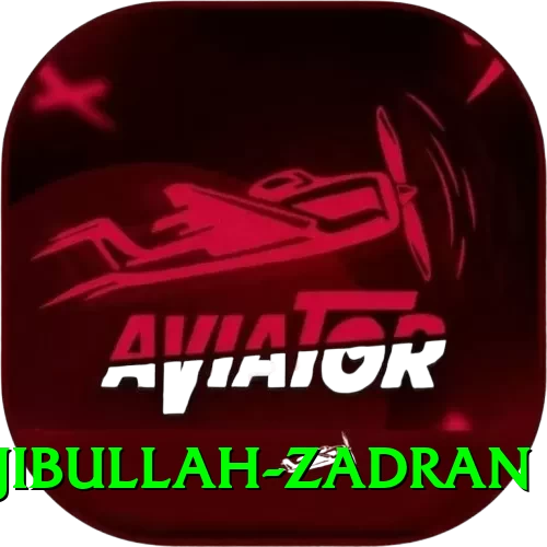 najibullah zadran Turbo Pro v3.8.0 - 2