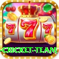 new zealand cricket team Plus v4.1.5