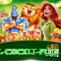 one cricket Slots Premium v4.0.6