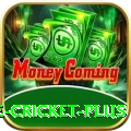 online cricket Casino Royal v4.0.2