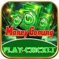 play cricket Gold Pro v2.5.8