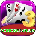 play cricket Casino VIP v2.2.0