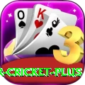 r cricket Gaming Mega