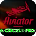 sri lanka cricket Gaming Turbo v3.8.5