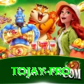 tojay Prime Casino App