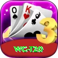 wc t20 Plus v3.2.2