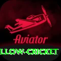 willow cricket Plus v3.9.3