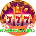 willow cricket - Casino Max