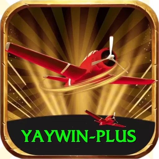 yaywin Premium v4.6.5 - 2