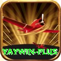 yaywin Premium v4.6.5